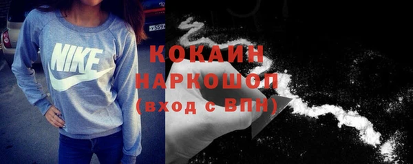 твердый Новодвинск
