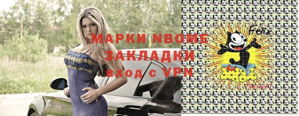 СК Алексин