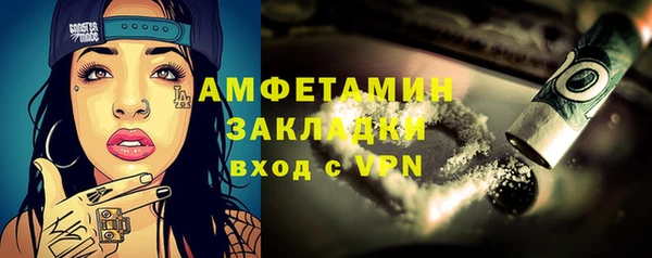 СК Алексин