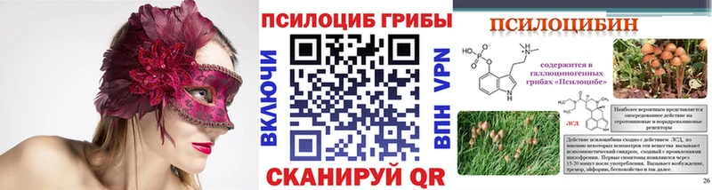 Псилоцибиновые грибы Psilocybe shop официальный сайт Ардон